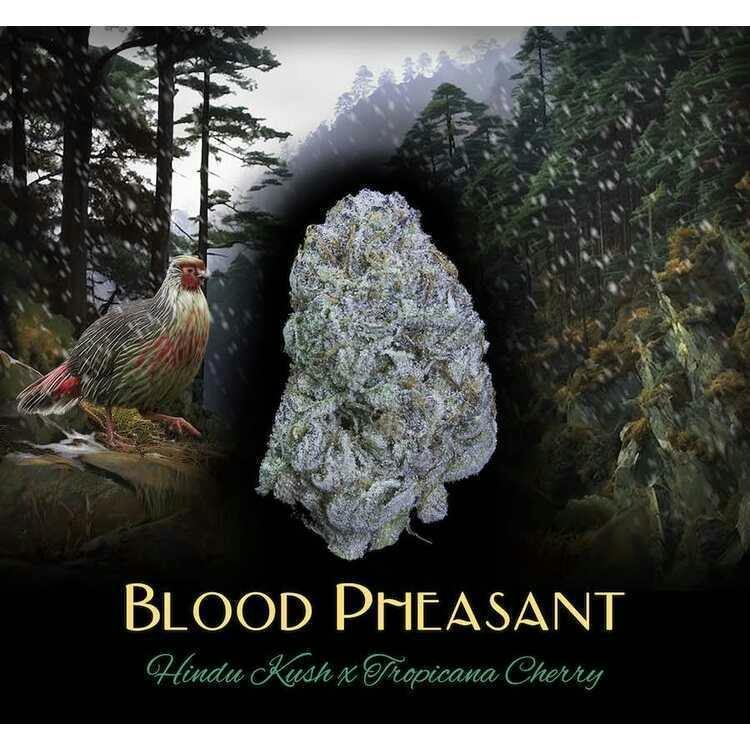 DUX:: Blood Pheasant Preroll | 2 Pack