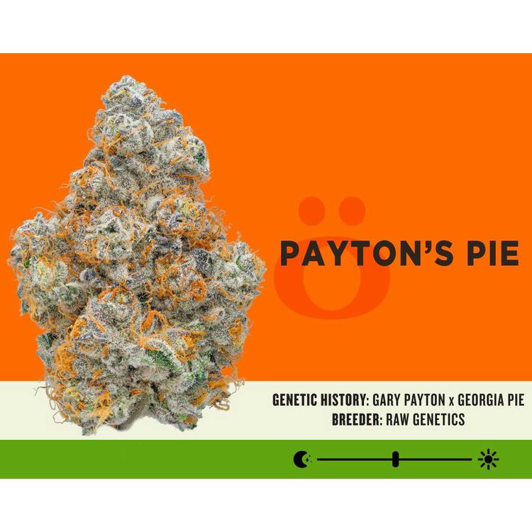 SKD:: Payton's Pie PHO Badder 1g