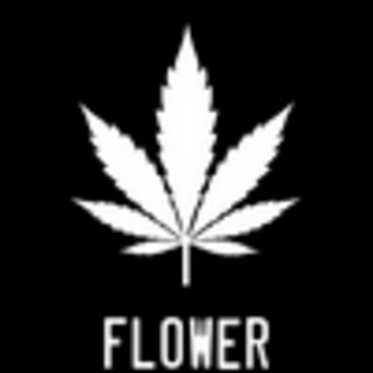 DH:: Employee Purchase 3.5g at High 5 Cannabis (420 Evergreen)