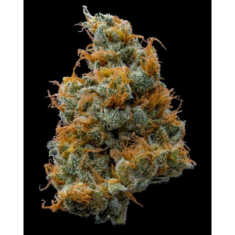 Clementine