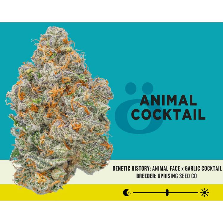 Animal Cocktail