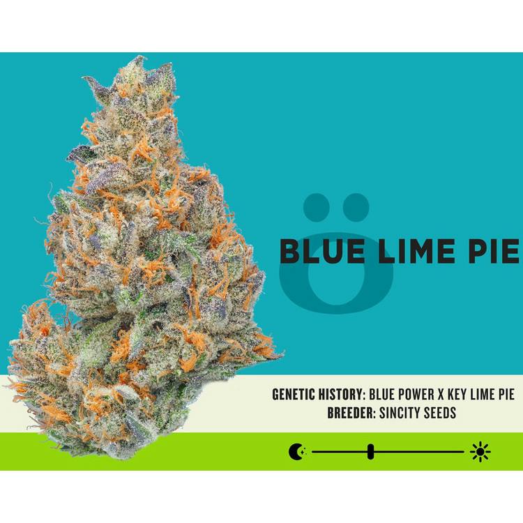 Blue Lime Pie