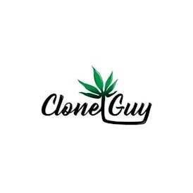 Clone Guy | Hippy | Clone