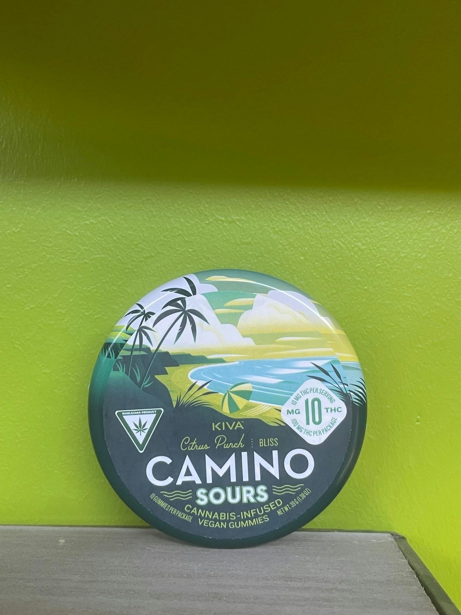 Camino Sours - Citrus Punch