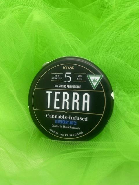 Terra Bites-Blueberry