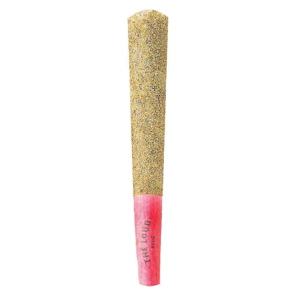 Drippyz Dragonfruit Rntz Infused Pre-Roll - The Loud Plug - 1x1g