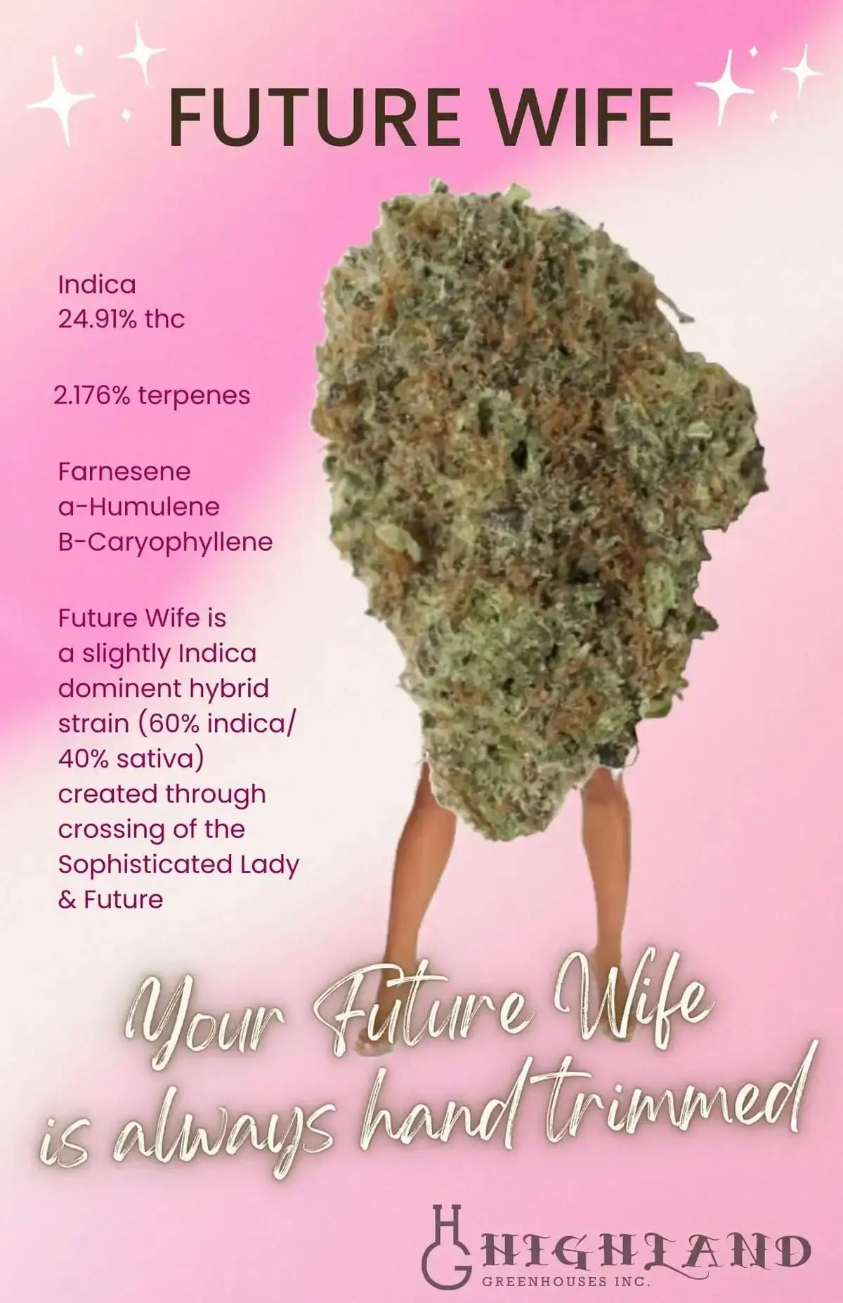 Highland Greenhouse | Future Wife (Indica) | 1 x 0.5g