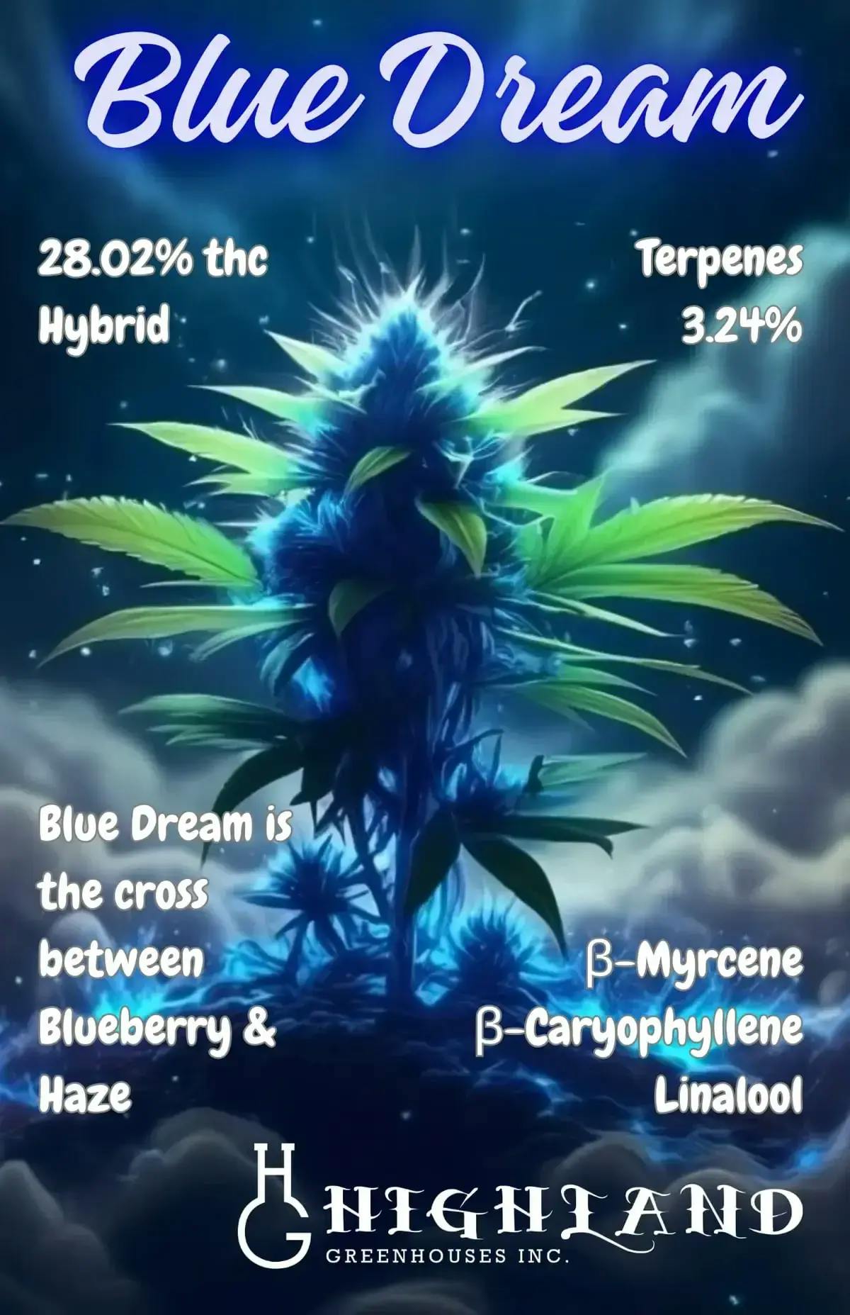 Highland Greenhouse | Blue Dream (Sativa) | 1x0.5g