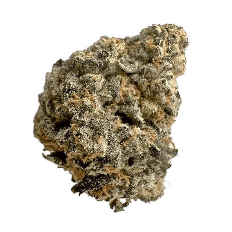 Kief Cannabis | Yuzu Sherb (Sativa) | 3.5g