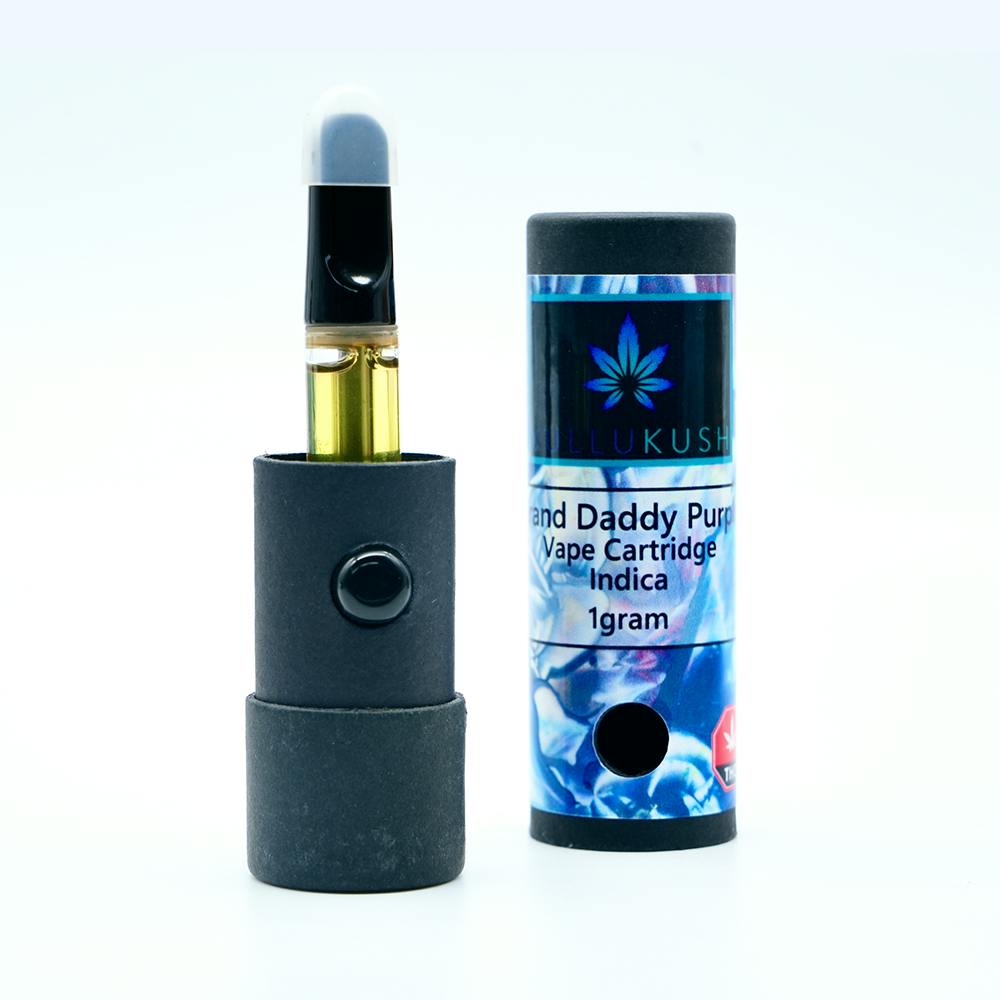 Pineapple Diesel | 1g Cartridge