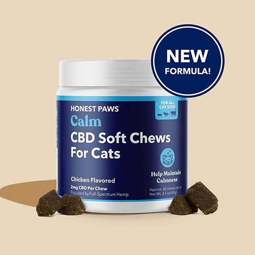 Honest Paws | Calm CBD Soft Chews for Cats | Cat CBD Treat | 60 Chews per Jar