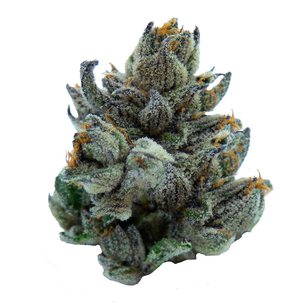 Viola - AI '96 - Indica - 3.5g