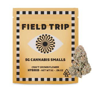 Field Trip: Cherry Royale