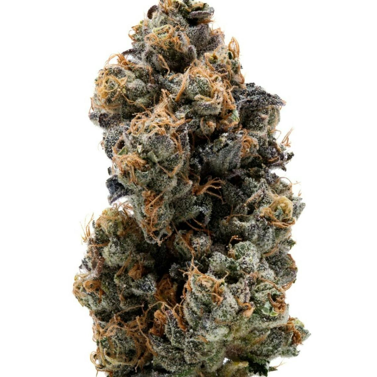 3.5G GMO