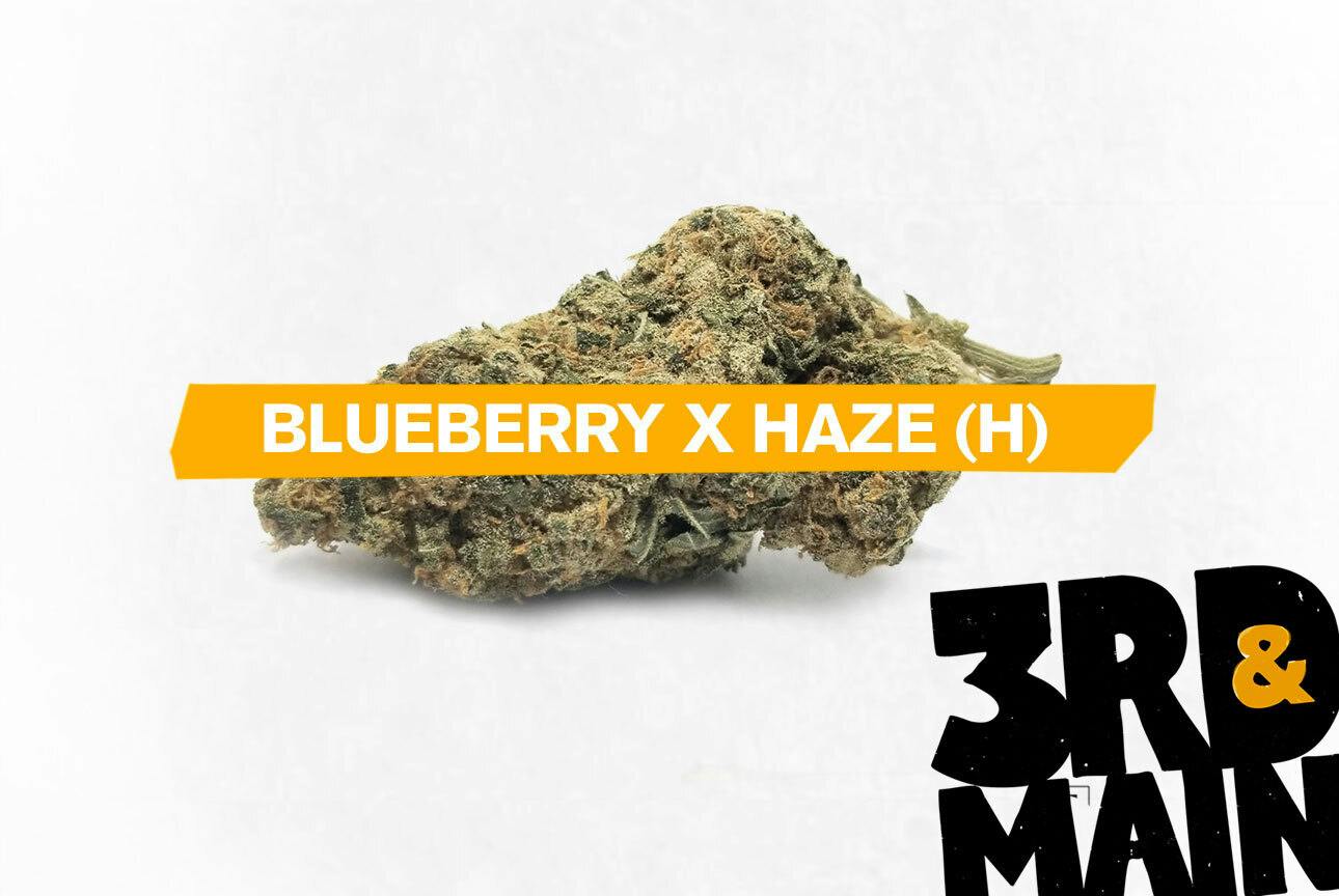3rd & Main - Blueberry x Haze - 1g Flower at Rollin' Green