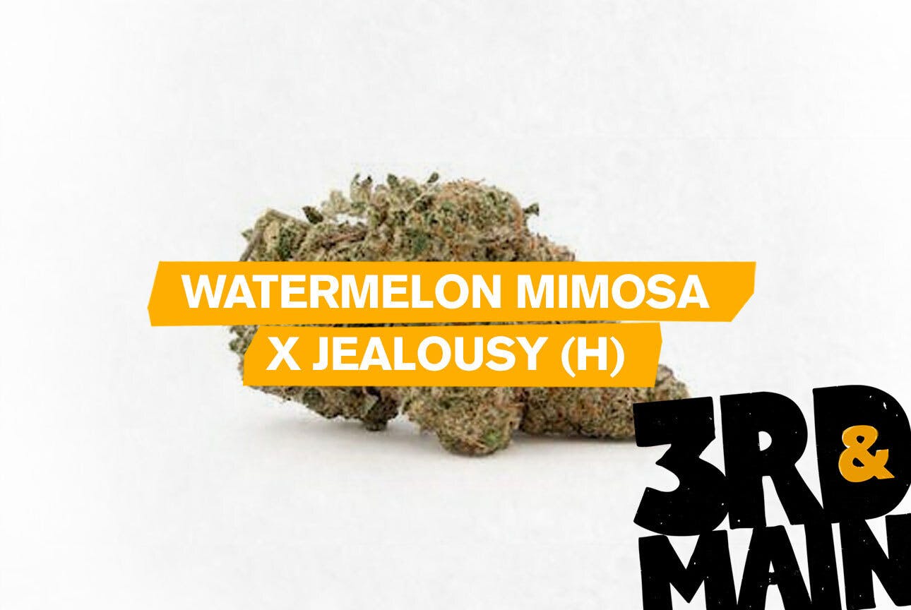 3rd & Main - Watermelon Mimosa x Jealousy - 1g Flower at Rollin' Green