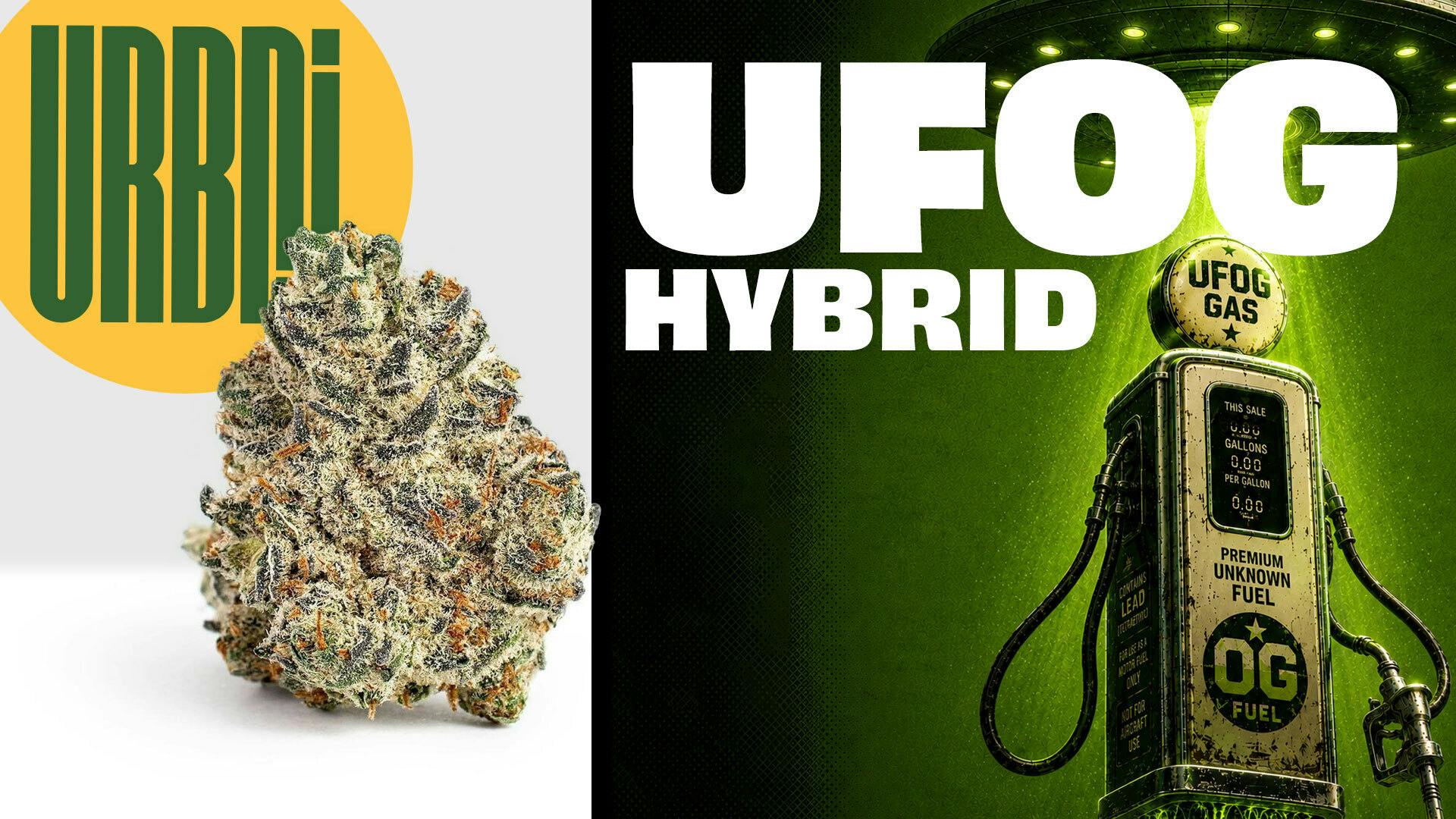 URBNJ - UFOG - 7g Flower