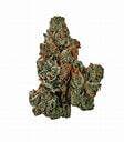 Glass Meadows - Papaya Crush - 28g Flower