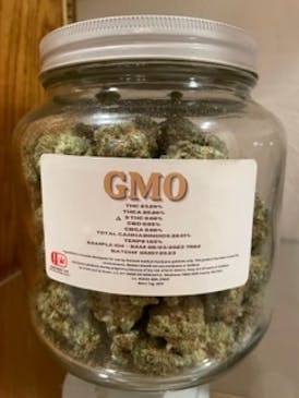 GMO - Flower