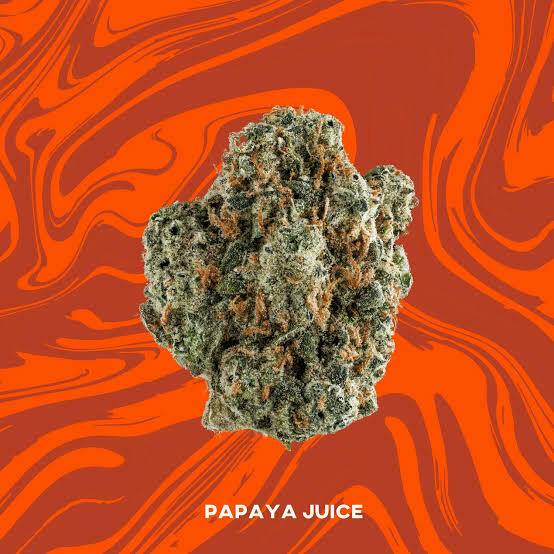 Papaya Juice | Deli