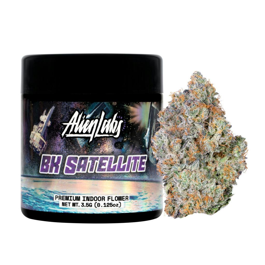 Alien Labs — BK Satellite
