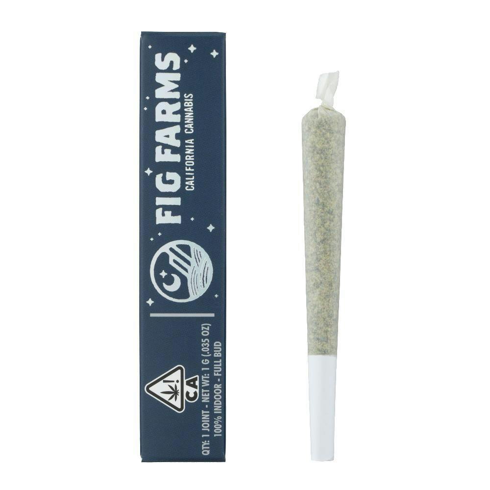 WHITE NECTARINE 1G - FIG FARMS