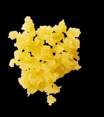 MAC 1 Live Sugar