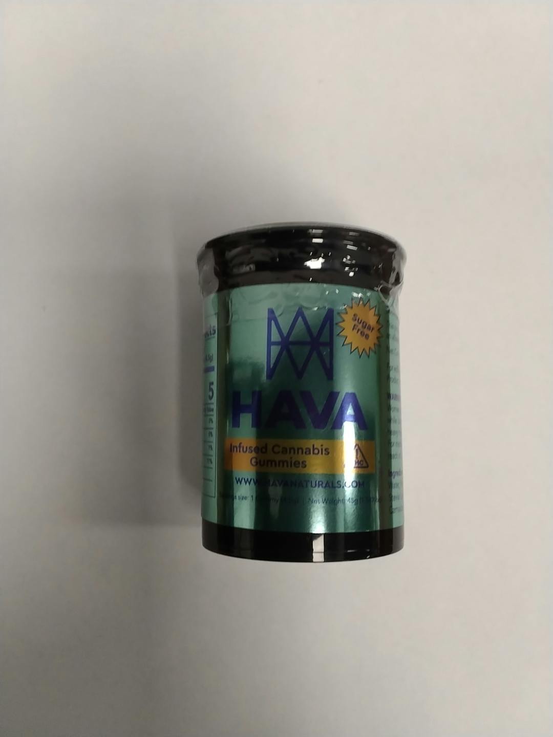 HAVA Blueberry SF Gummies 100mg THC