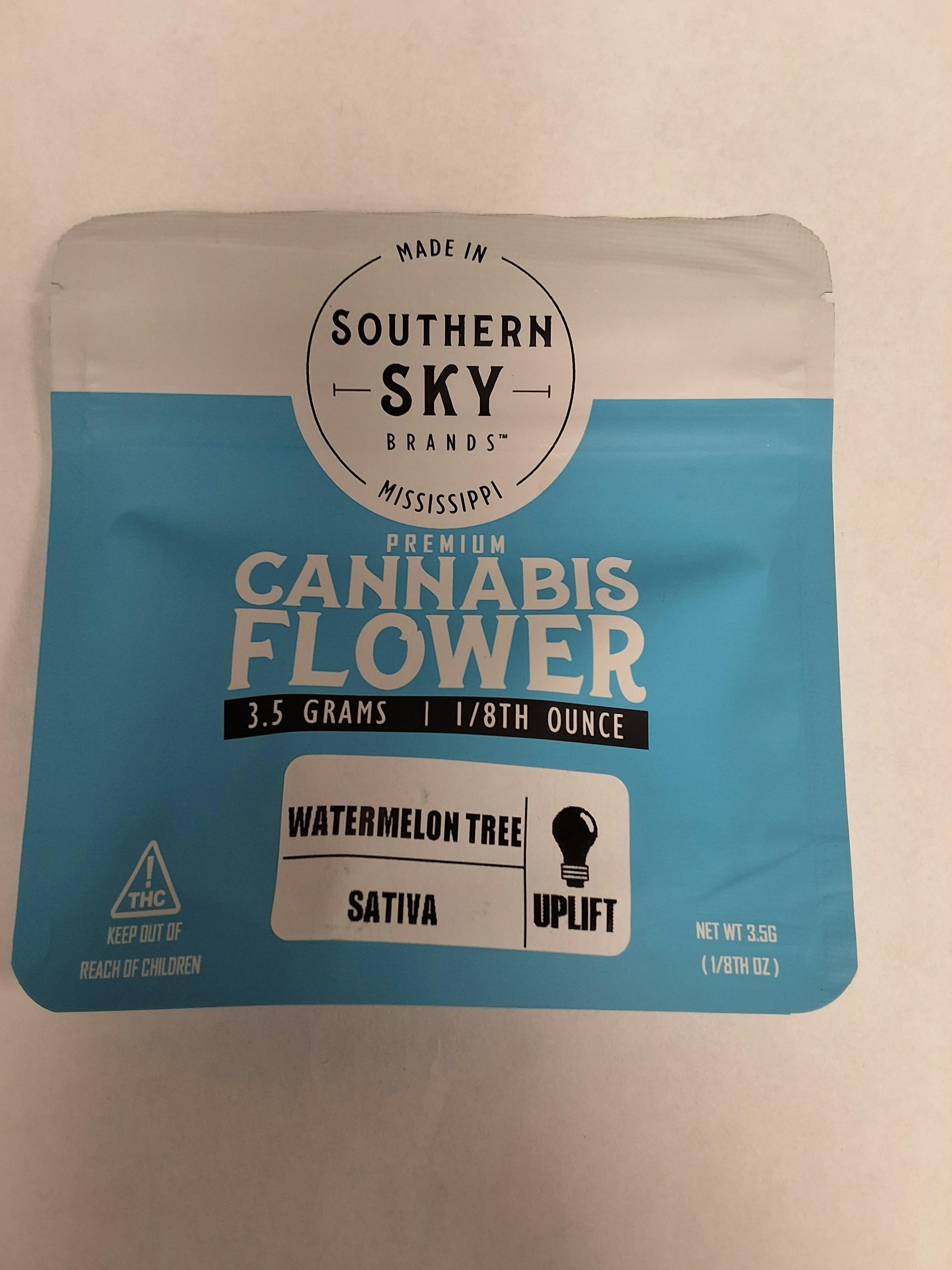 Watermelon Tree by Southern Sky Brands