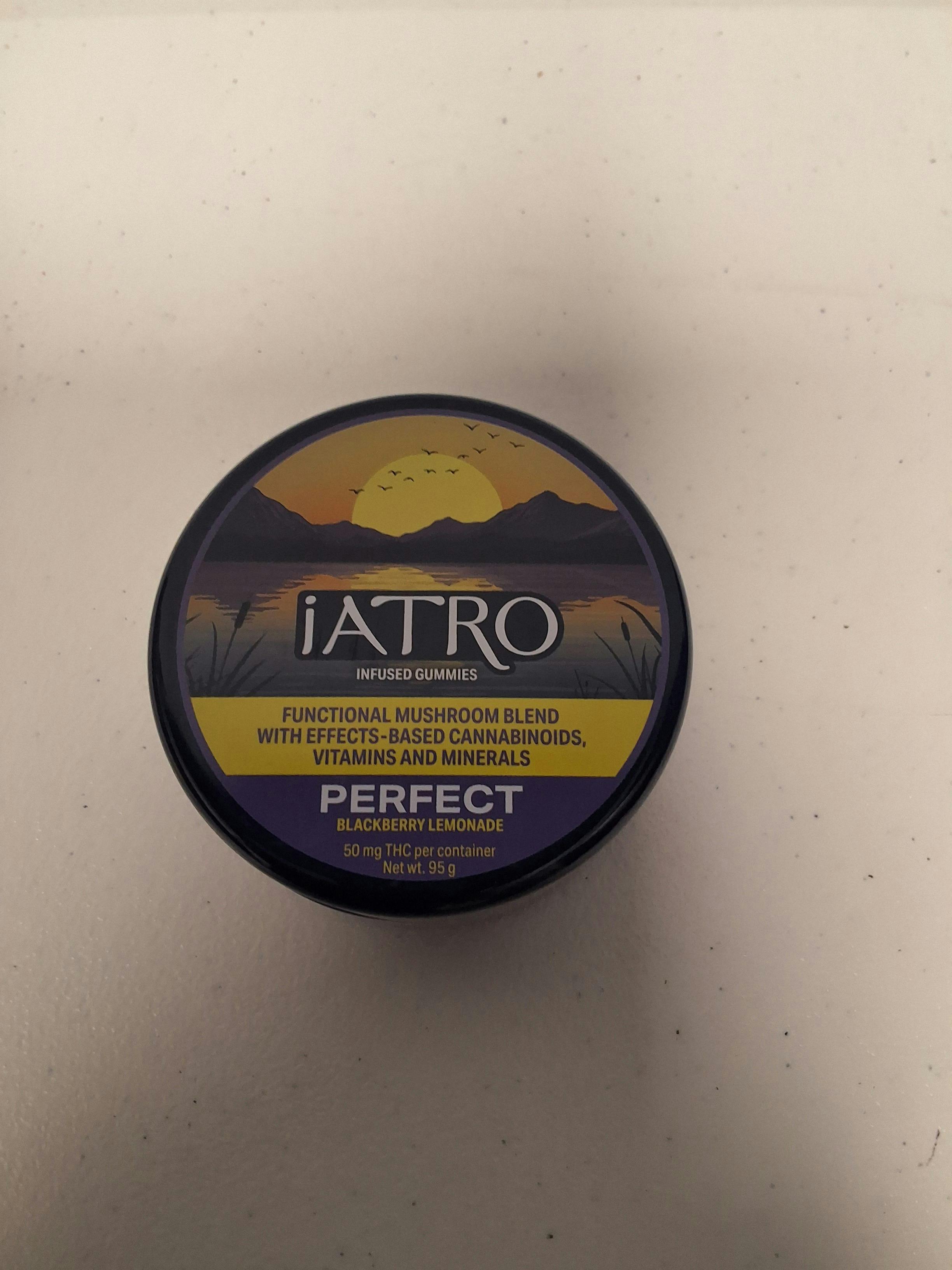 iATRO Blackberry Lemonade Perfect 2:1:1:1 50mg 20 Pack - STASH HOUSE