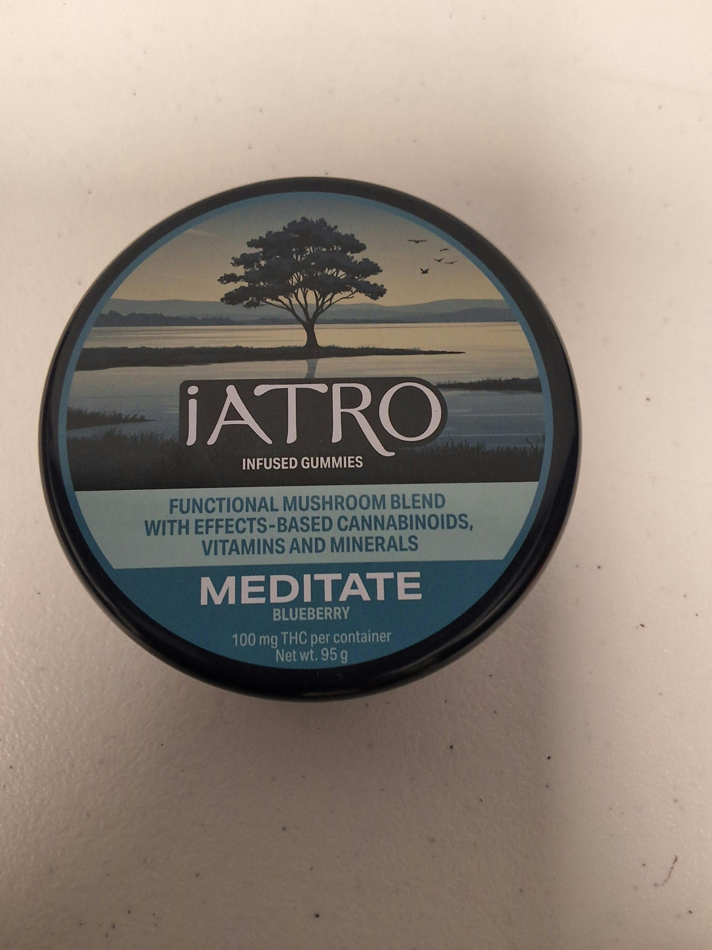iATRO Blueberry Meditate 1:2.5 100mg 20 Pack - STASH HOUSE