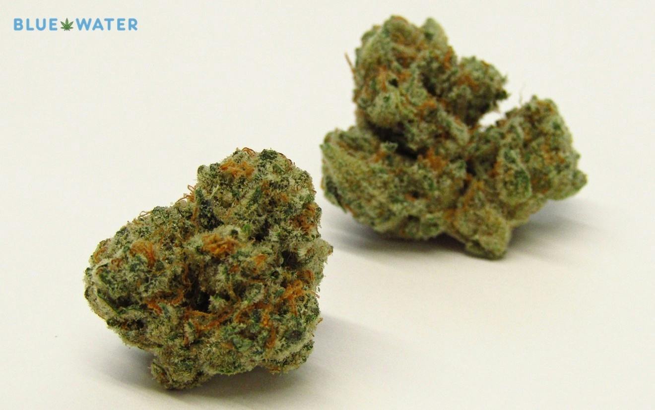 GEORGIA PIE - LOUD SHELF