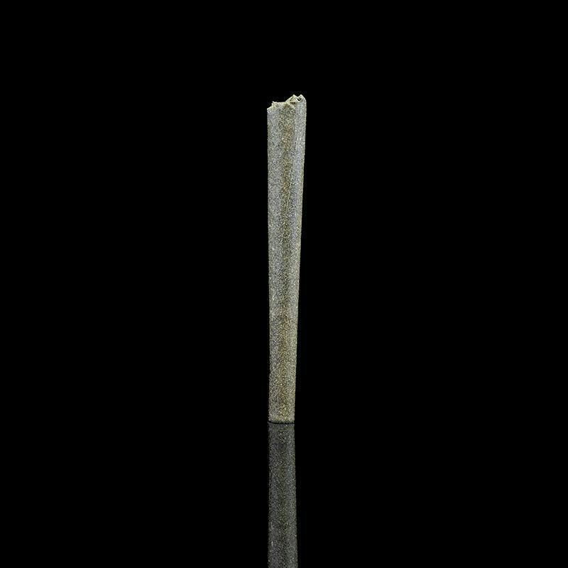 CAVIAR GOLD - 1.3G INFUSED PREROLL - THE GOAT