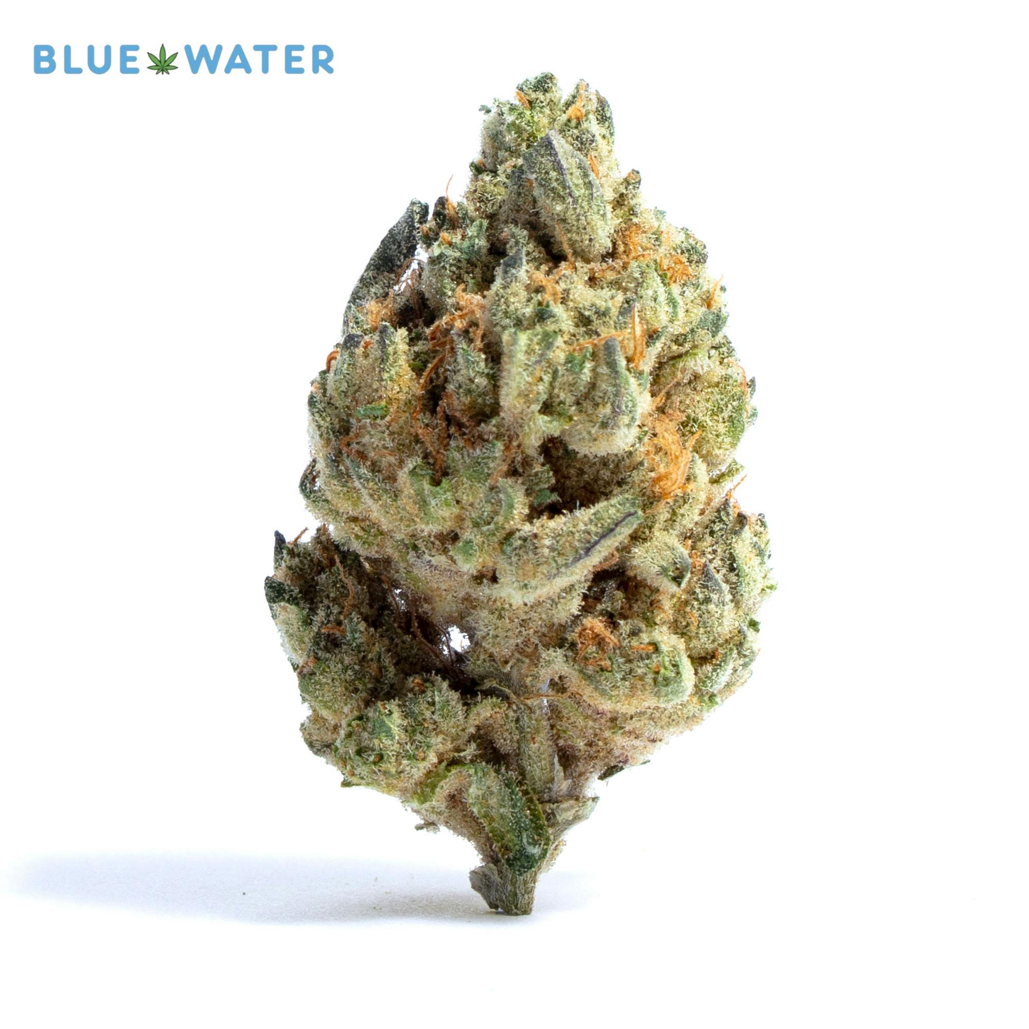 5G - LOUD SHELF