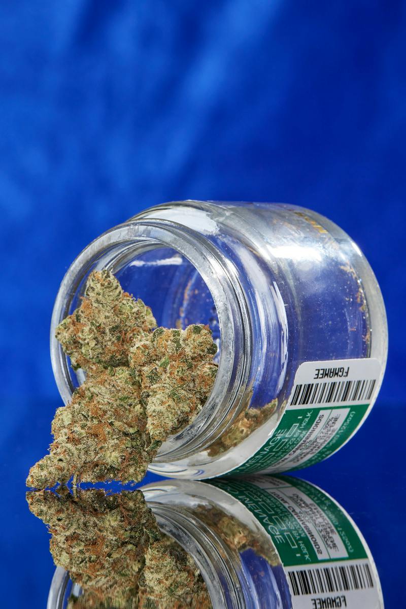 Cuban Cookies