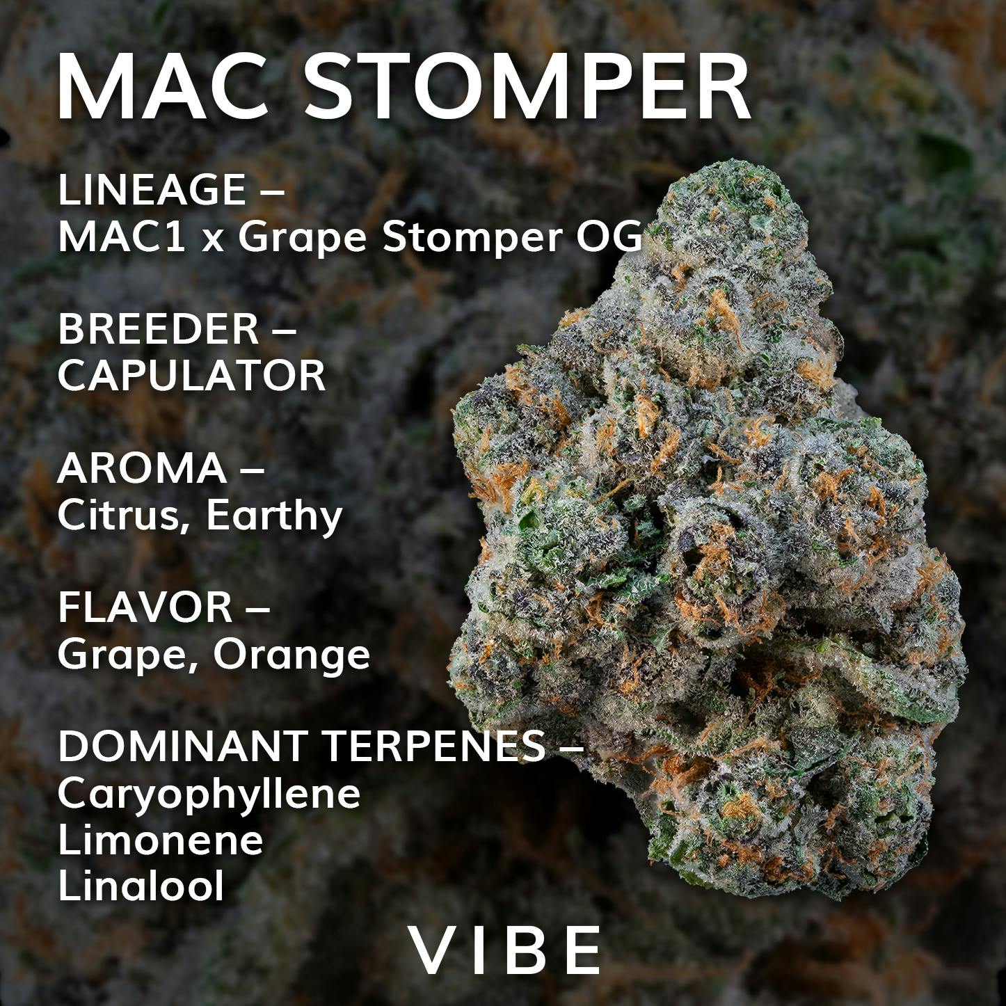 MAC Stomper | Deli