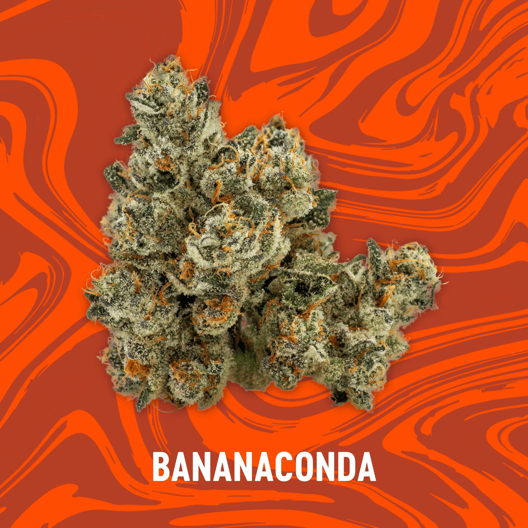 Bananaconda | Deli