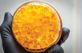 Punch Rosin| Frozen Farmer Grillz-T4