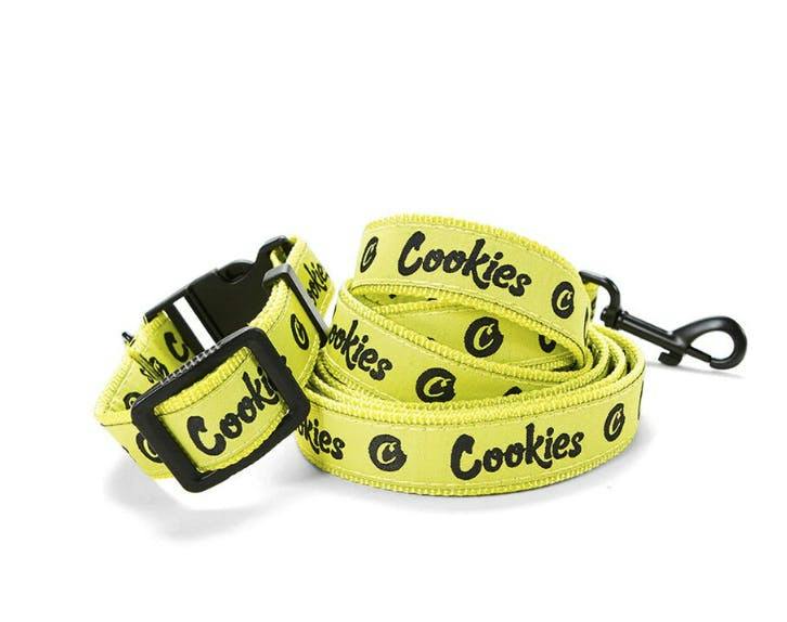 Cookies - Dog Leash and Collar - Nylon Yellow