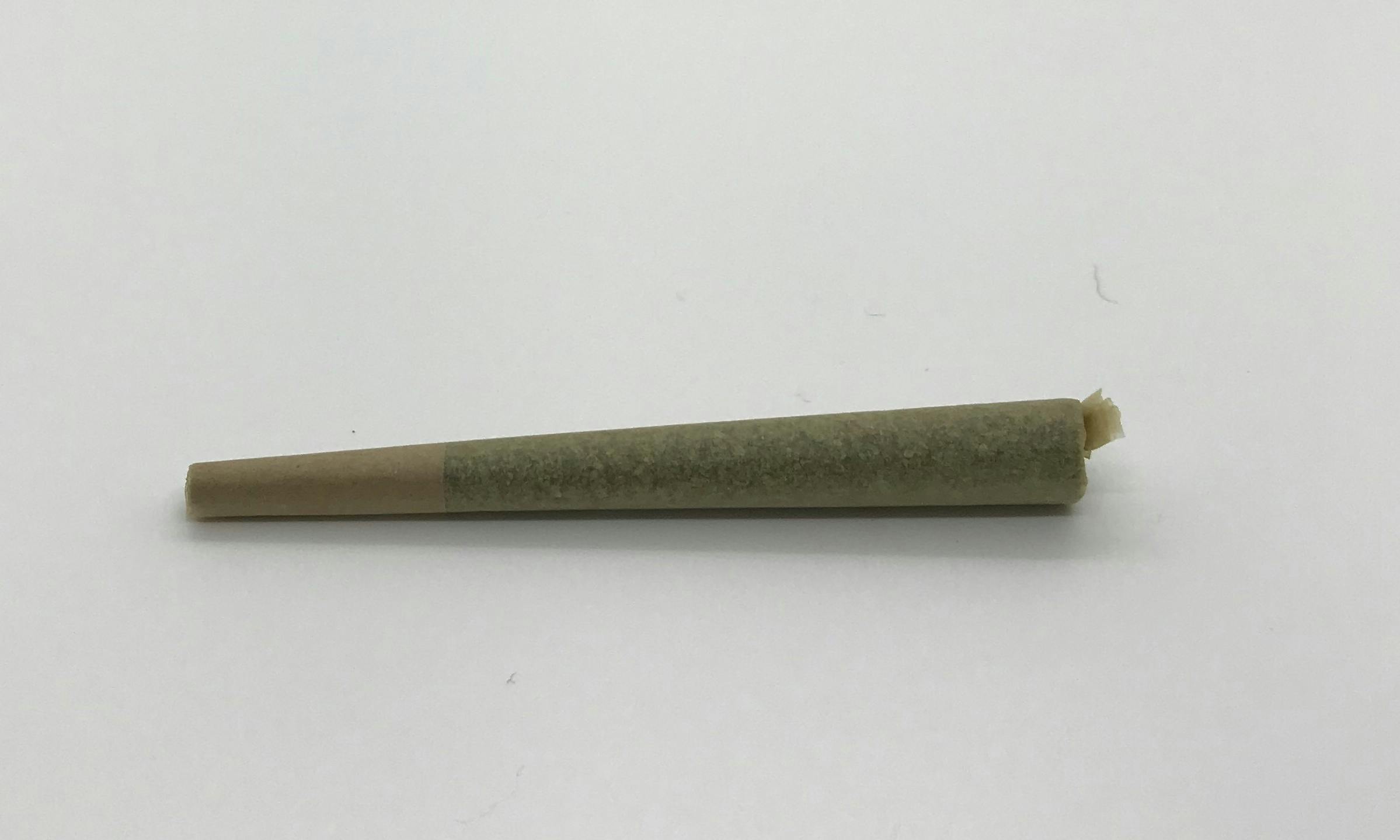 Aurora Blaze | Jack Herer Flower PR | 0.5g at Laughing Salmon Cannabis