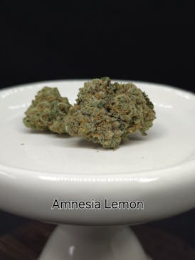 HTF | Amnesia Lemon Flower