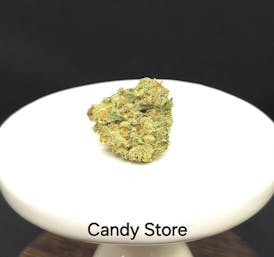 HTF | Candy Store Flower