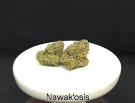 HTF | Nawak'osis Flower