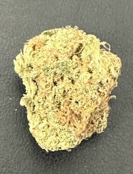 Aurora Blaze | Frozen Tangerines Flower