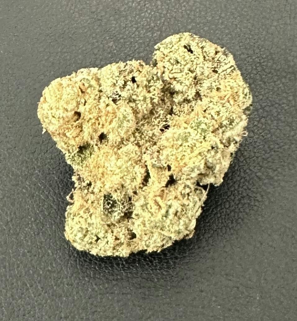 Aurora | Black Maple Flower | 7g Tin