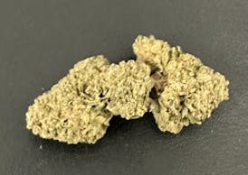 HTF | AK Caviar Flower