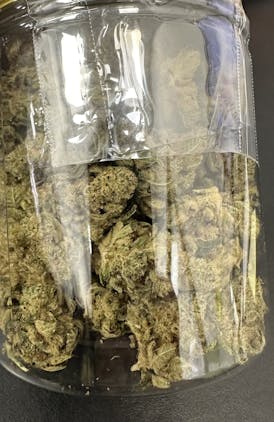 Alaska Botanicals | Platinum Glue Flower Jar | 28g