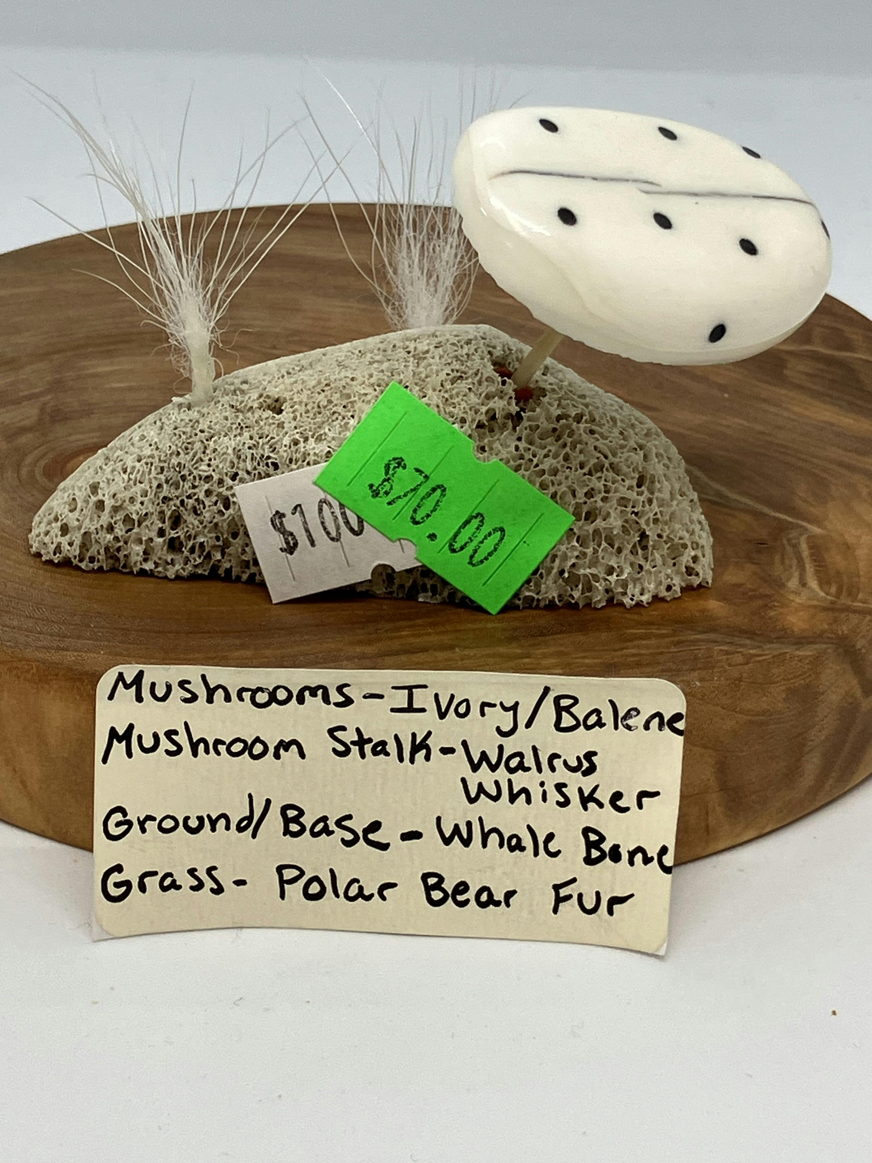 Local | Ivory Mushroom | Single