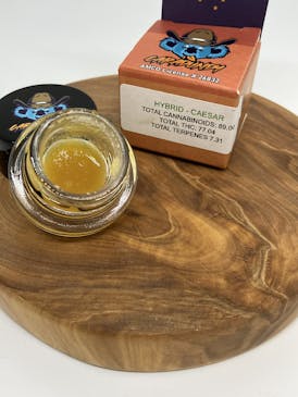 Caradundy | Caesar Sugar | 1g