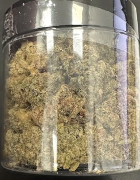 Aurora Blaze | Triangle Queen Flower | 14g Jar